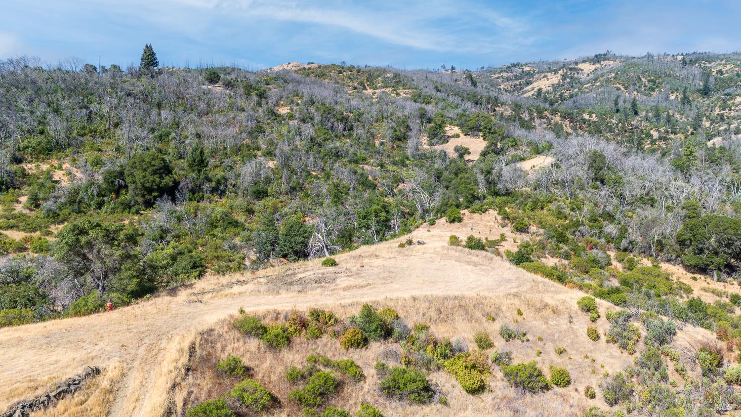Detail Gallery Image 22 of 27 For 12400 Tomki Rd, Redwood Valley,  CA 95470 - – Beds | – Baths