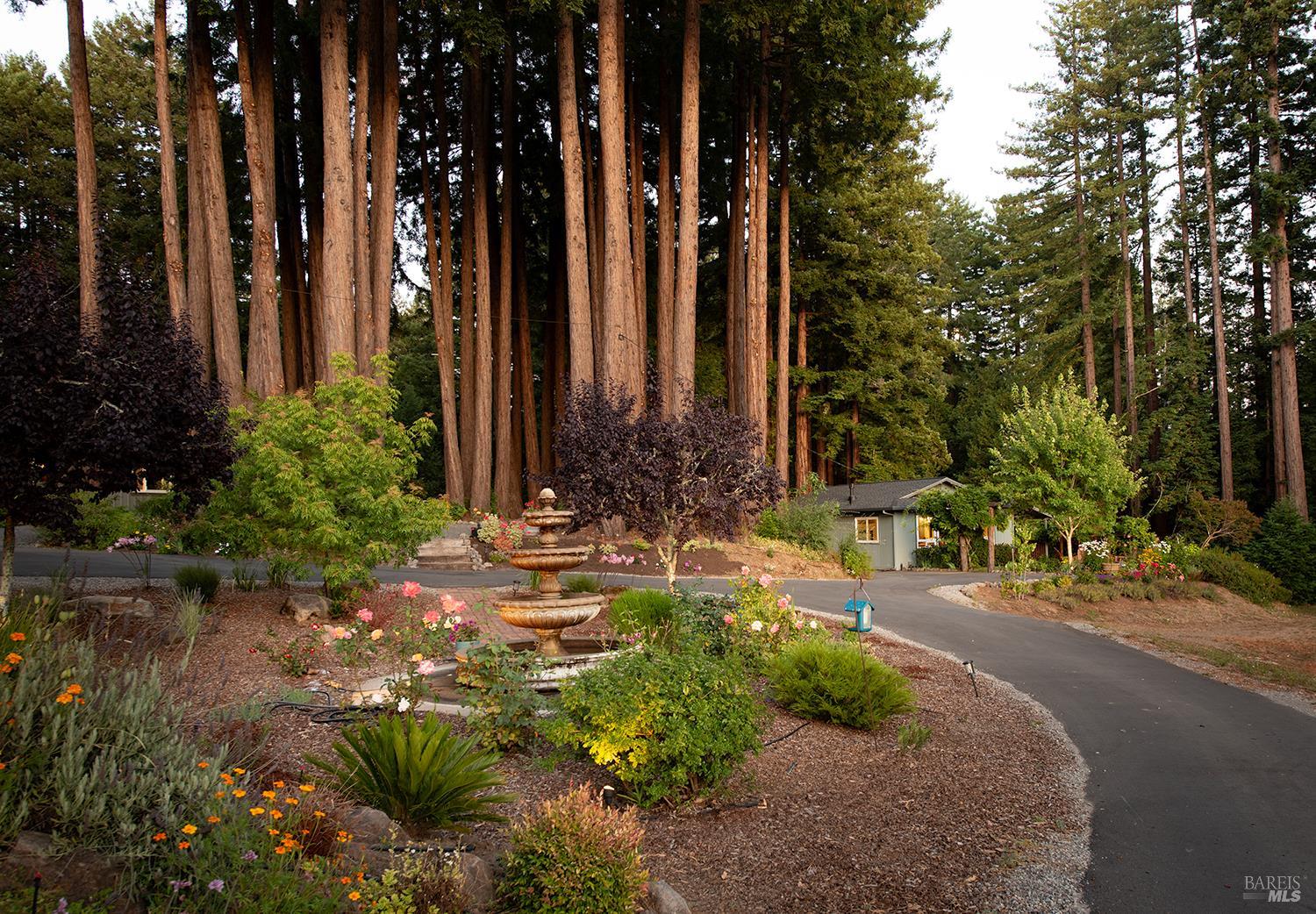 Detail Gallery Image 82 of 89 For 12675 Fiori Ln, Sebastopol,  CA 95472 - 4 Beds | 3/1 Baths
