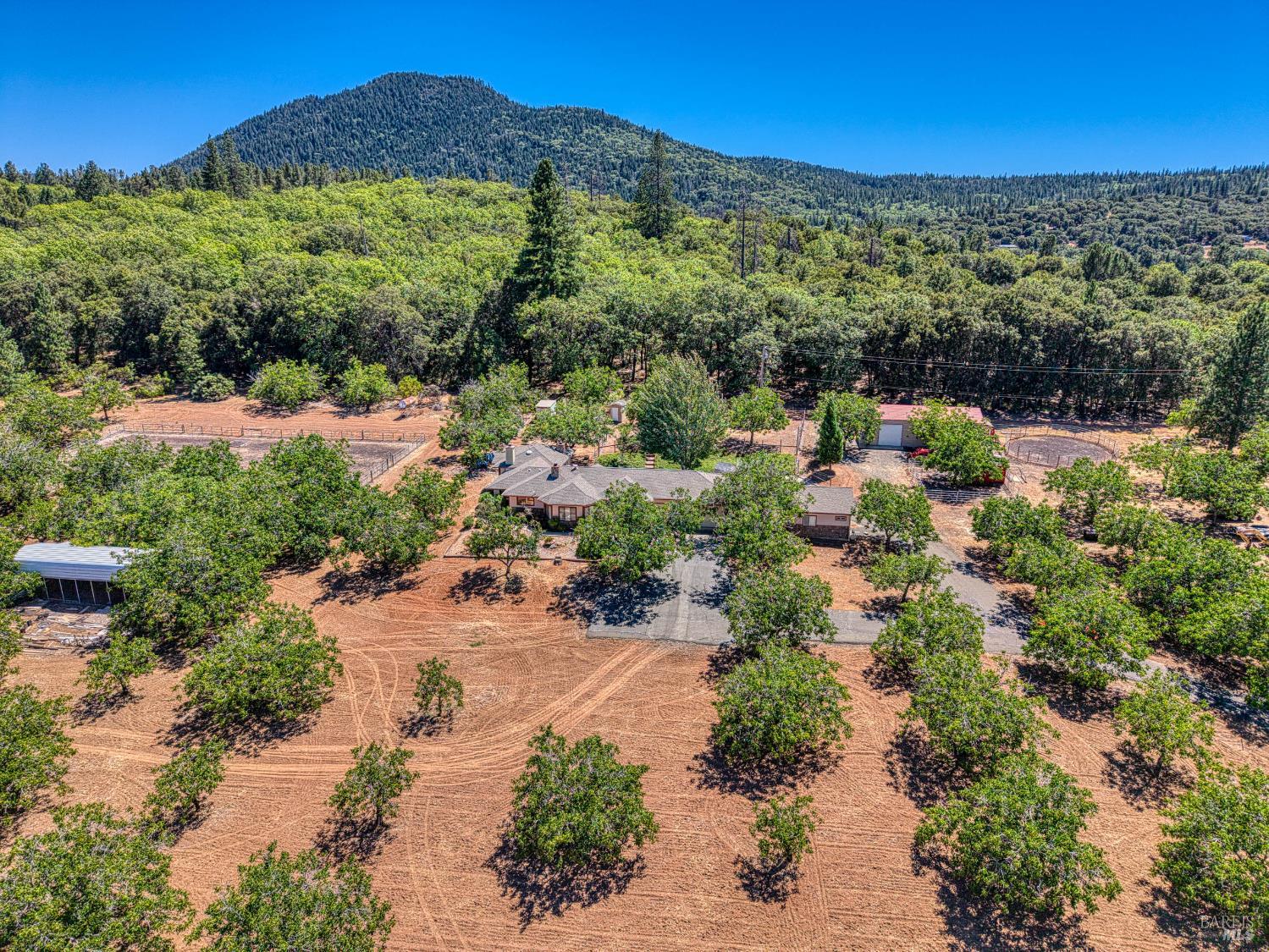 Detail Gallery Image 67 of 71 For 8700 Red Hills Rd, Kelseyville,  CA 95451 - 5 Beds | 3 Baths