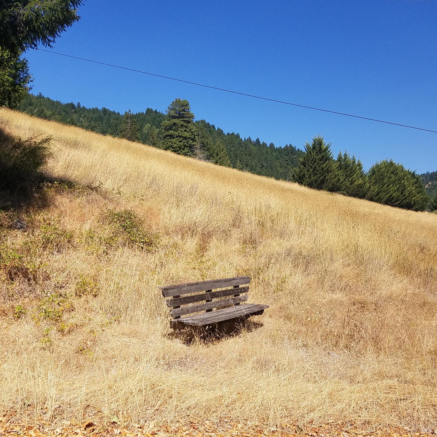 Detail Gallery Image 7 of 33 For 80050 Road 442b Rd, Piercy,  CA 95587 - – Beds | – Baths