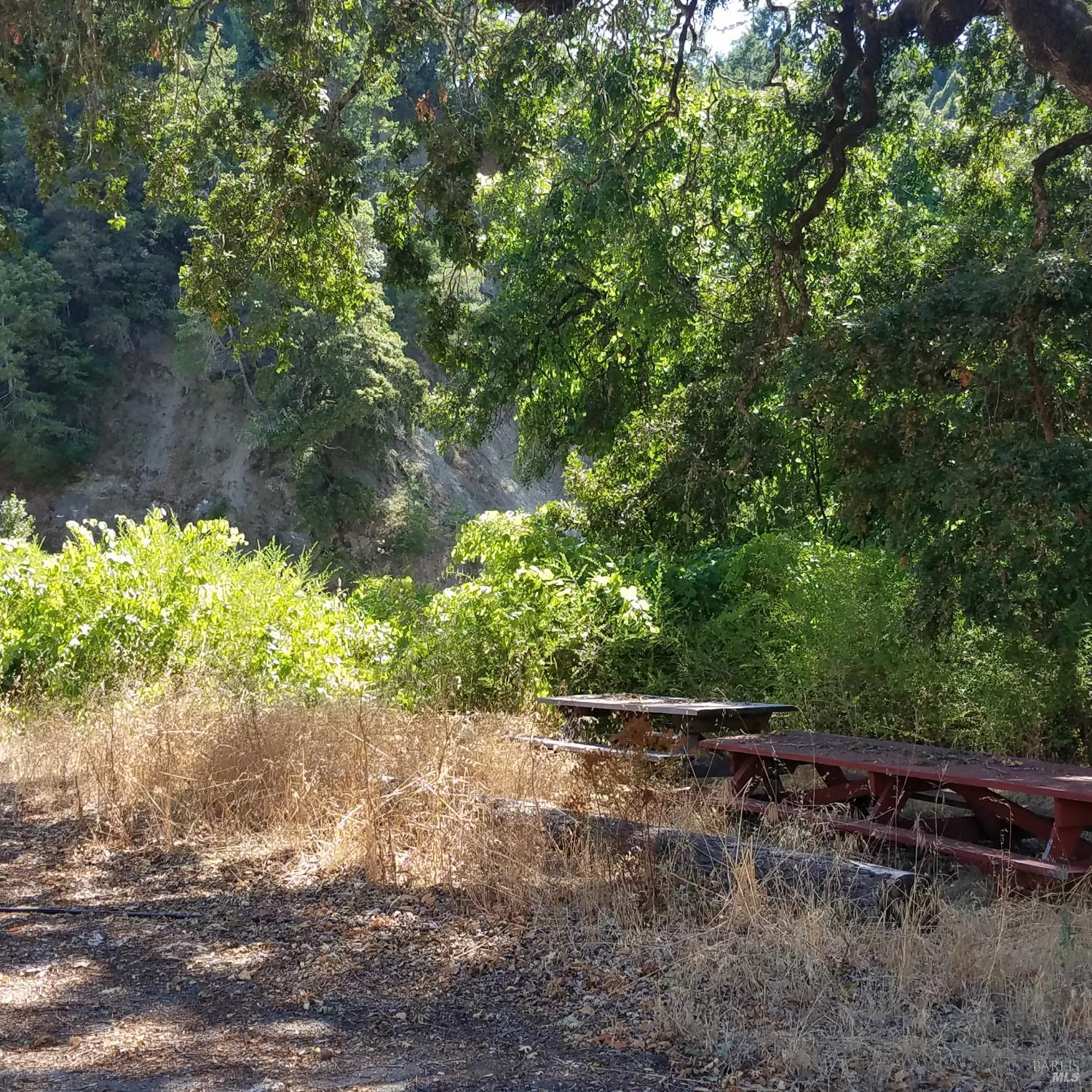 Detail Gallery Image 24 of 33 For 80050 Road 442b Rd, Piercy,  CA 95587 - – Beds | – Baths