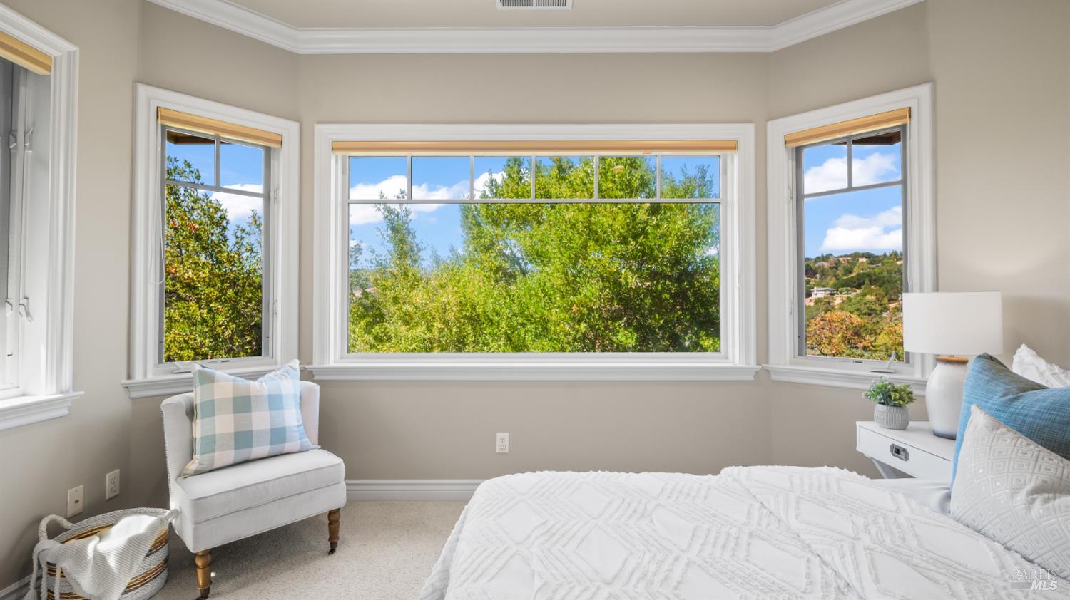 Detail Gallery Image 51 of 83 For 1 the Alameda Knls, San Anselmo,  CA 94960 - 5 Beds | 5/1 Baths