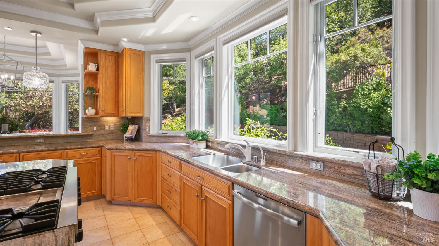 Detail Gallery Image 20 of 83 For 1 the Alameda Knls, San Anselmo,  CA 94960 - 5 Beds | 5/1 Baths