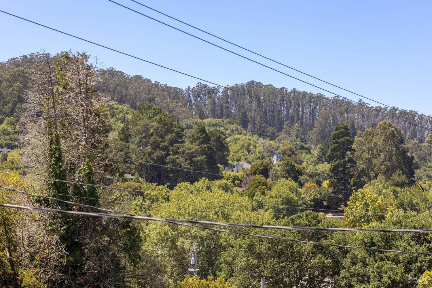 Detail Gallery Image 13 of 52 For 352 Shoreline Hwy, Mill Valley,  CA 94941 - 3 Beds | 2/1 Baths