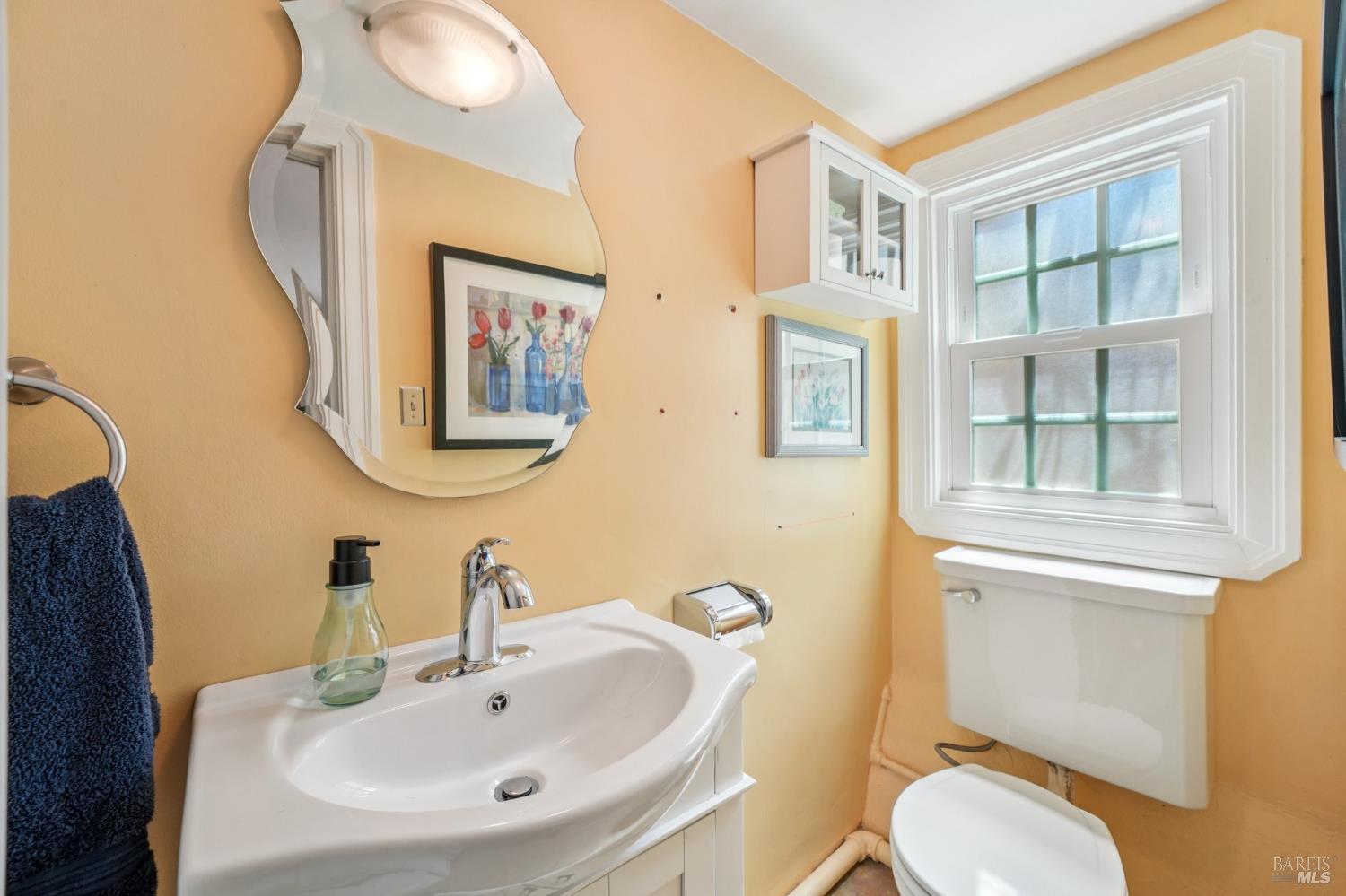 Detail Gallery Image 46 of 68 For 1072 Raymond Ave, Napa,  CA 94559 - 3 Beds | 1/1 Baths