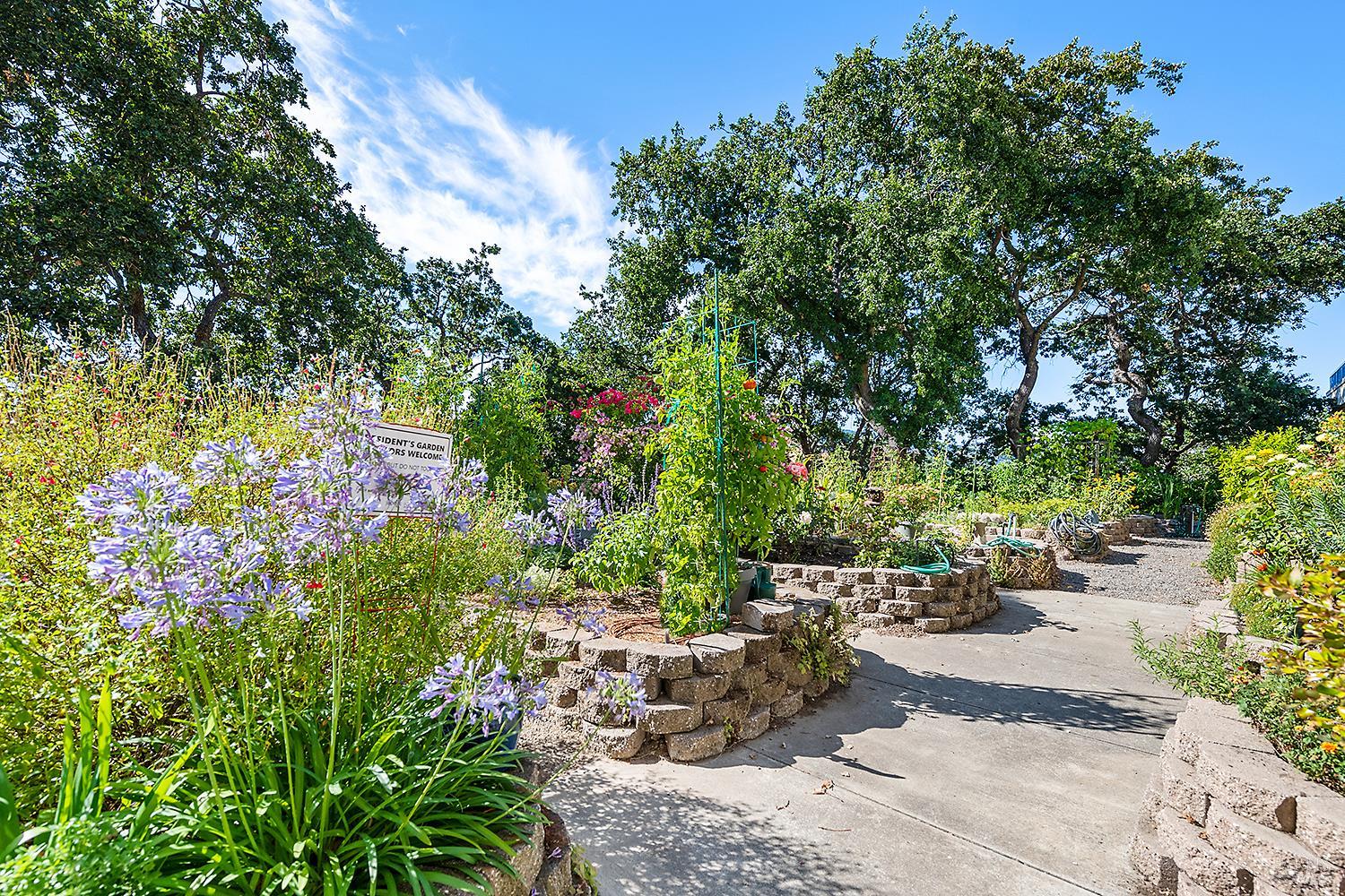 Detail Gallery Image 26 of 31 For 100 Thorndale Dr #410,  San Rafael,  CA 94903 - 2 Beds | 2 Baths