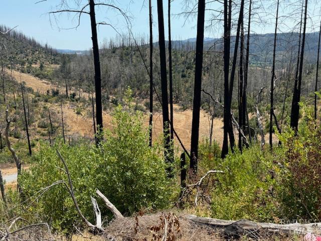 Detail Gallery Image 20 of 28 For 6300 Wildwood Mountain Rd, Santa Rosa,  CA 95409 - – Beds | – Baths