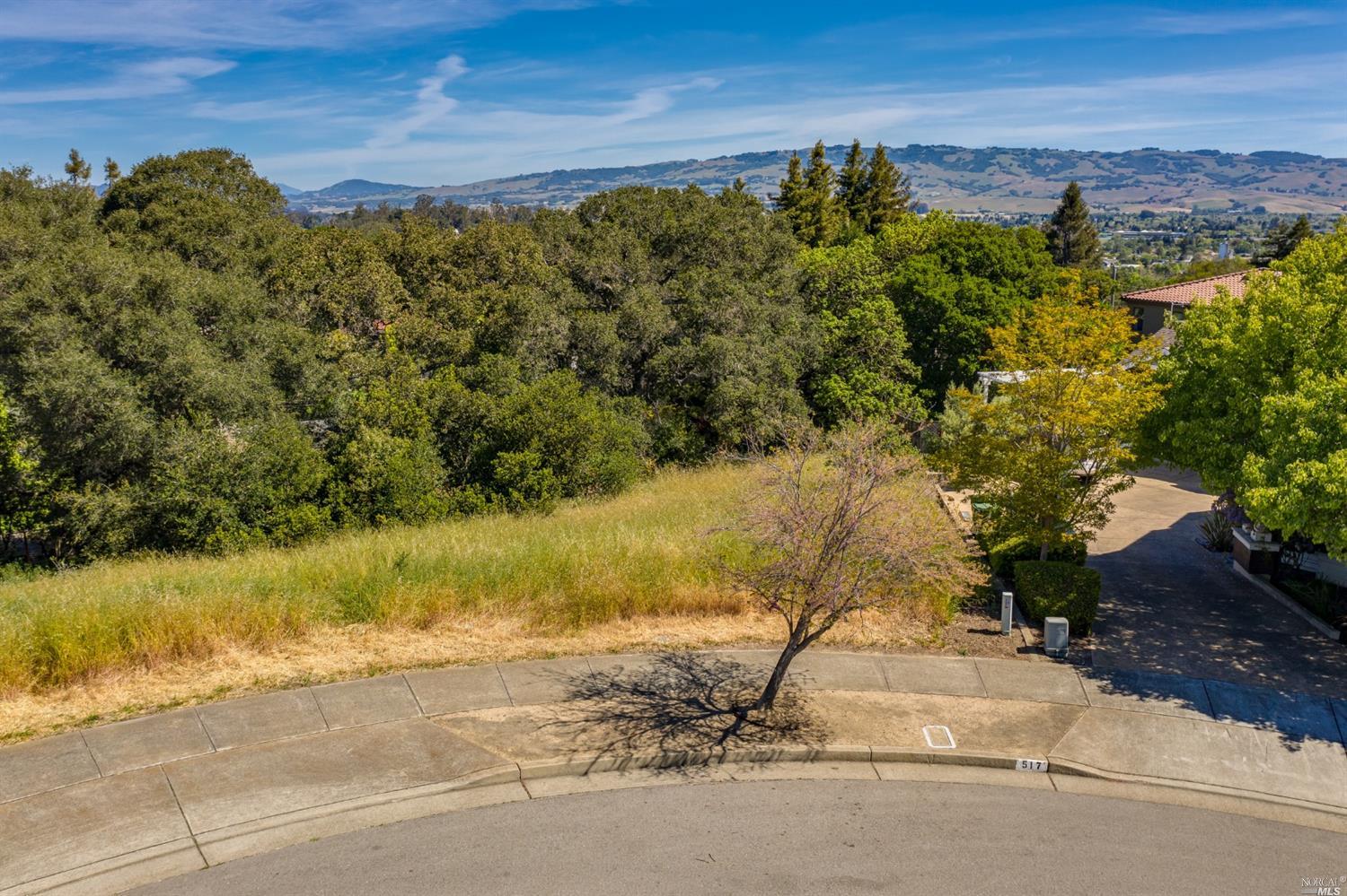 Detail Gallery Image 3 of 11 For 513 Larch Dr, Petaluma,  CA 94952 - – Beds | – Baths
