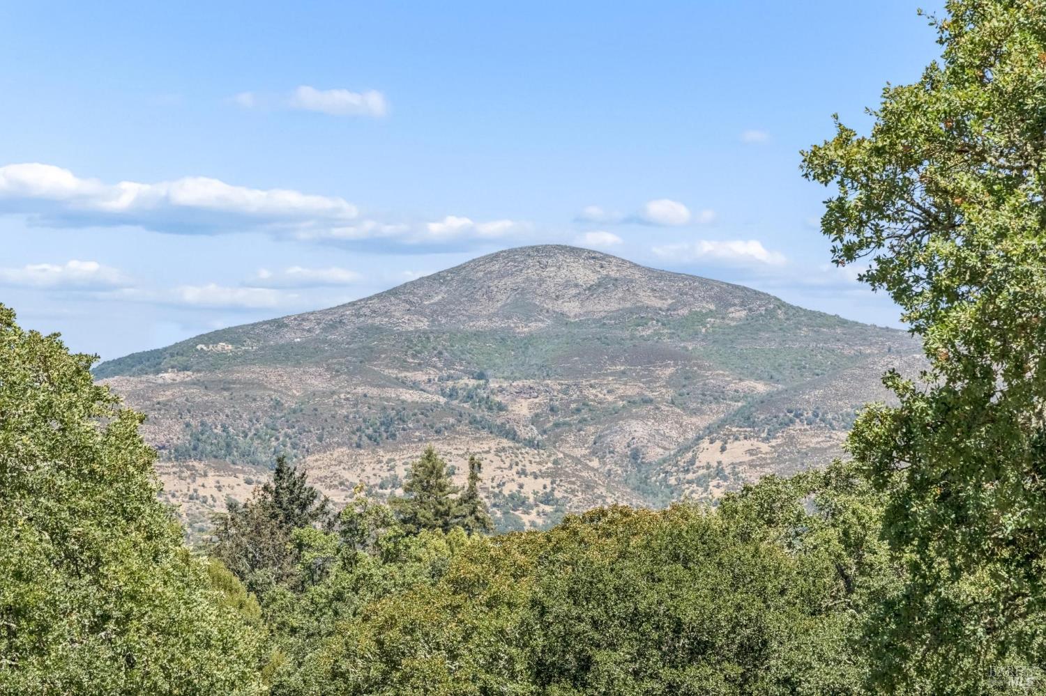 Detail Gallery Image 5 of 99 For 6 Old Coach Rd, Napa,  CA 94558 - 4 Beds | 3/1 Baths