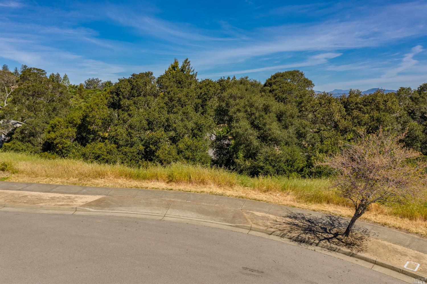 Detail Gallery Image 11 of 11 For 513 Larch Dr, Petaluma,  CA 94952 - – Beds | – Baths