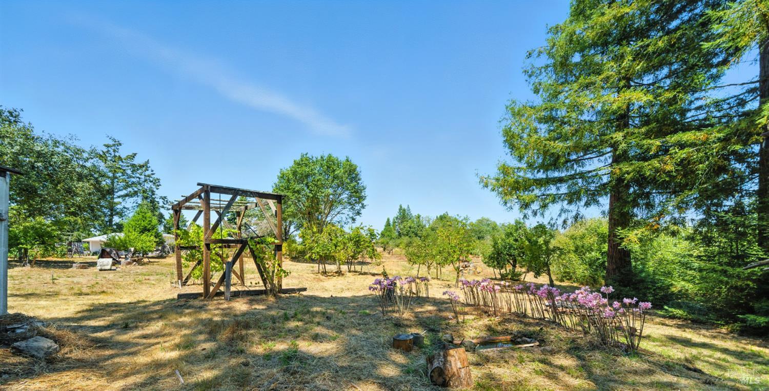 Detail Gallery Image 40 of 48 For 5295 N Hwy 116 Unkn, Sebastopol,  CA 95472 - 3 Beds | 2 Baths