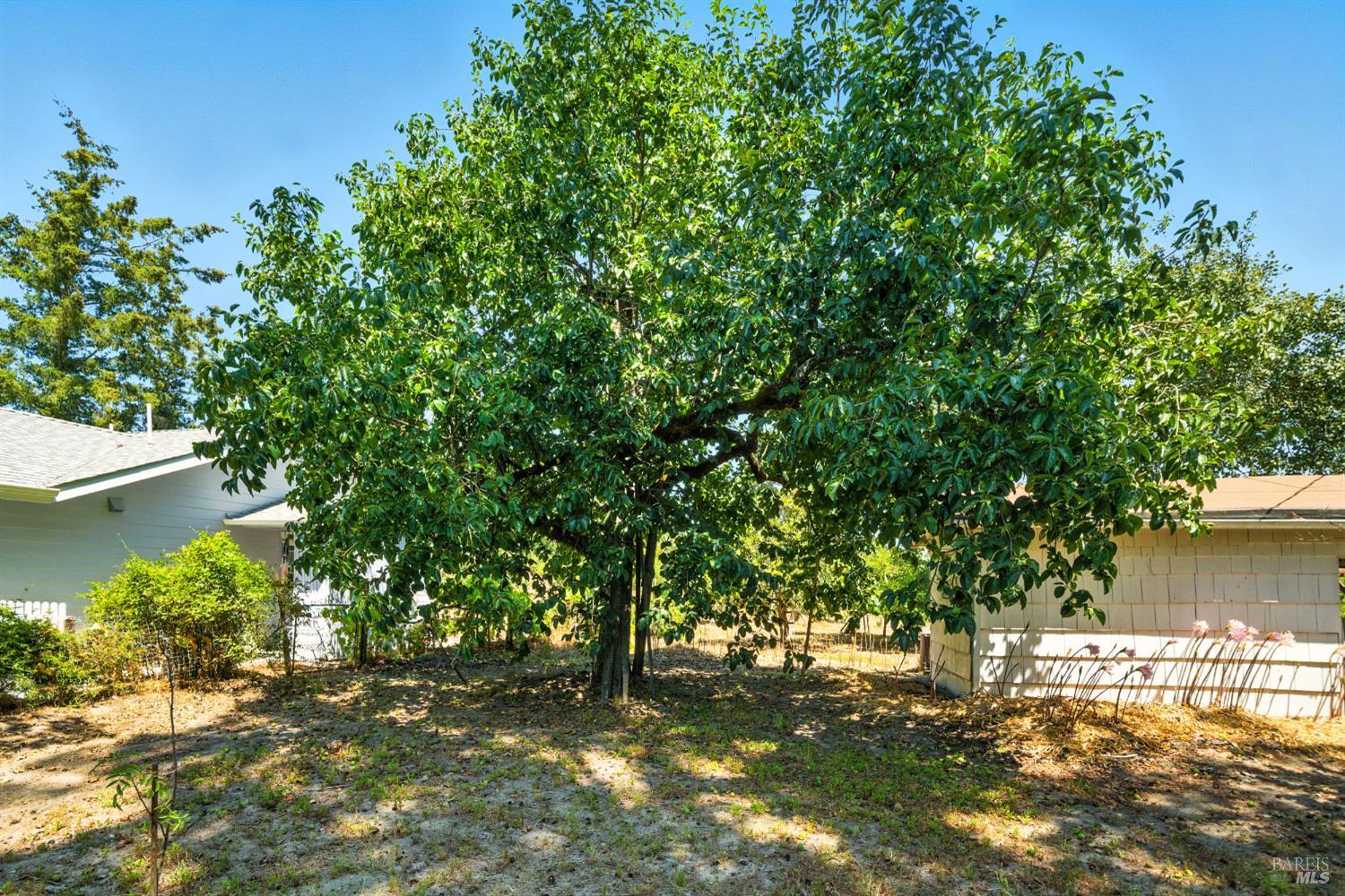 Detail Gallery Image 30 of 48 For 5295 N Hwy 116 Unkn, Sebastopol,  CA 95472 - 3 Beds | 2 Baths
