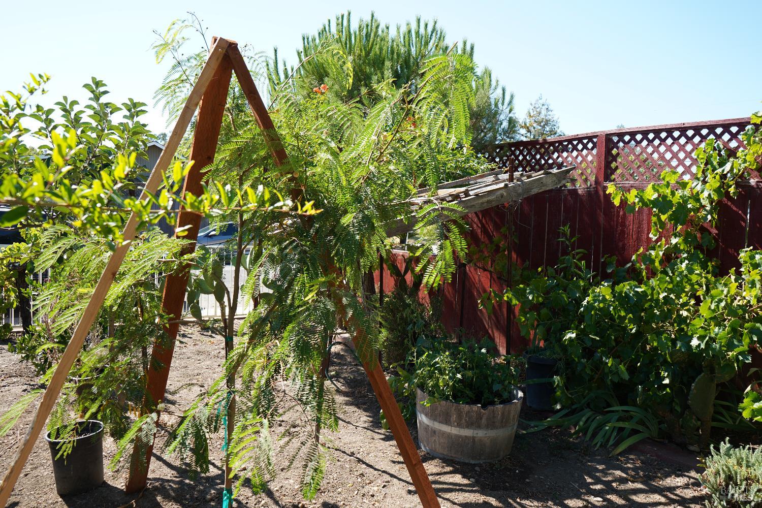 Detail Gallery Image 57 of 57 For 9896 Sunray Pl, Windsor,  CA 95492 - 4 Beds | 2 Baths