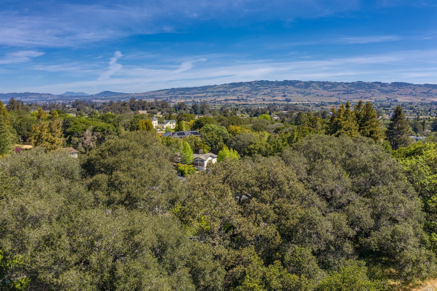 Detail Gallery Image 9 of 11 For 513 Larch Dr, Petaluma,  CA 94952 - – Beds | – Baths