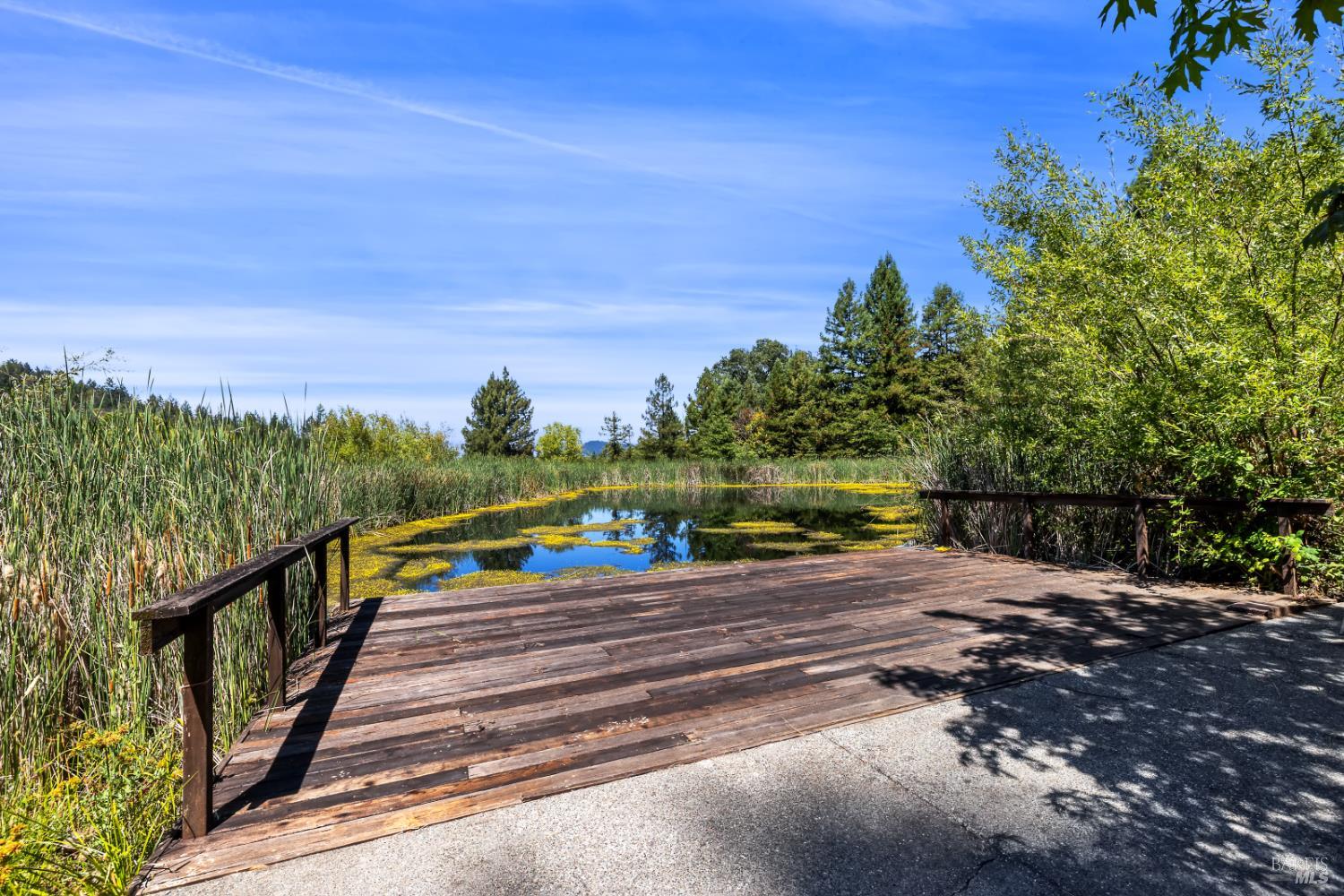 Detail Gallery Image 4 of 55 For 1194 Felta Rd, Healdsburg,  CA 95448 - 4 Beds | 3 Baths