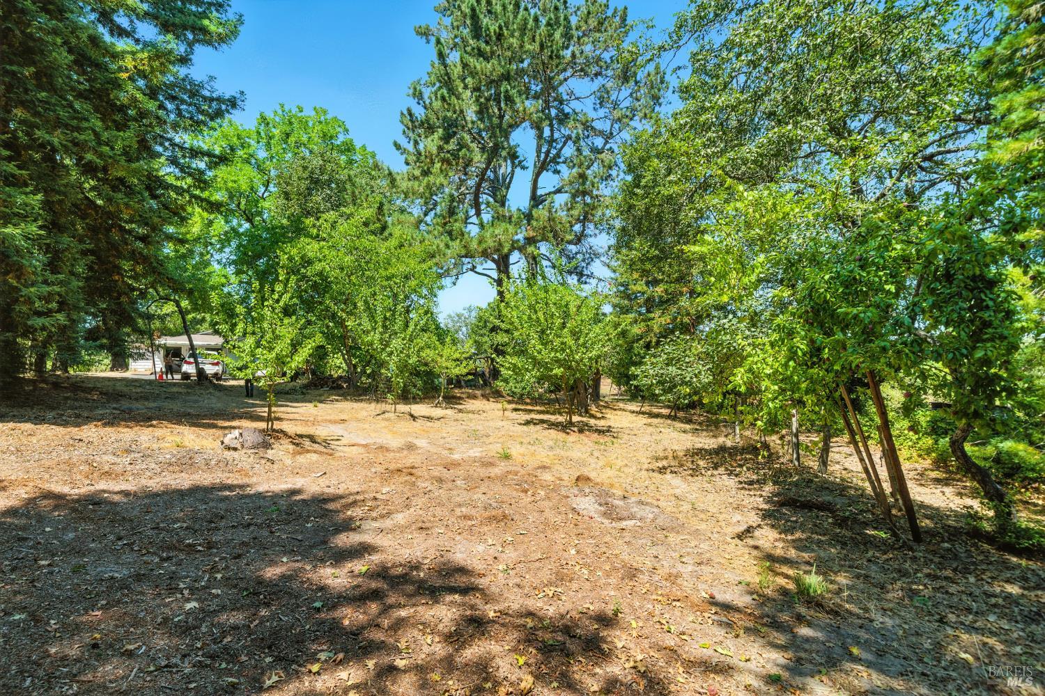Detail Gallery Image 41 of 48 For 5295 N Hwy 116 Unkn, Sebastopol,  CA 95472 - 3 Beds | 2 Baths