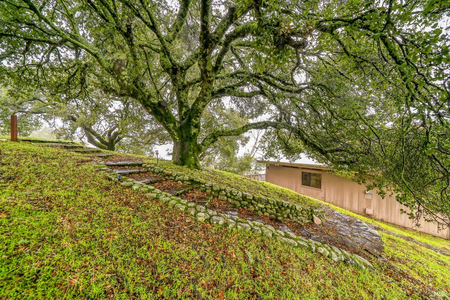 Detail Gallery Image 52 of 52 For 2000 Whitehall Ln, Saint Helena,  CA 94574 - 1 Beds | 2 Baths