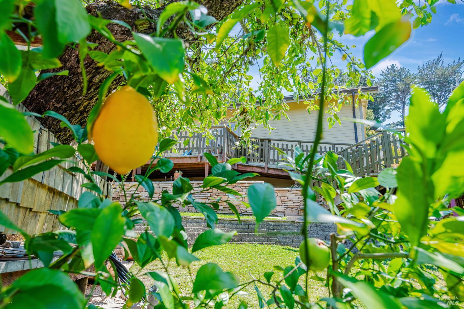 Detail Gallery Image 49 of 52 For 405 Oakdale Ave, Corte Madera,  CA 94925 - 4 Beds | 4/1 Baths