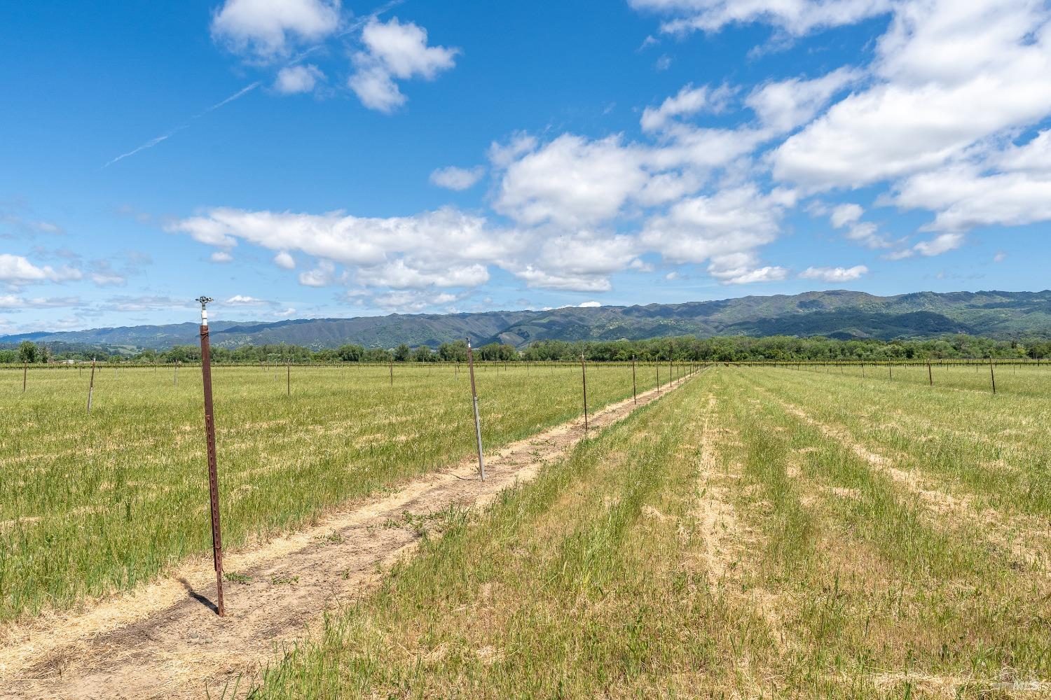 Detail Gallery Image 12 of 14 For 3525 Taylor Dr, Ukiah,  CA 95482 - – Beds | – Baths