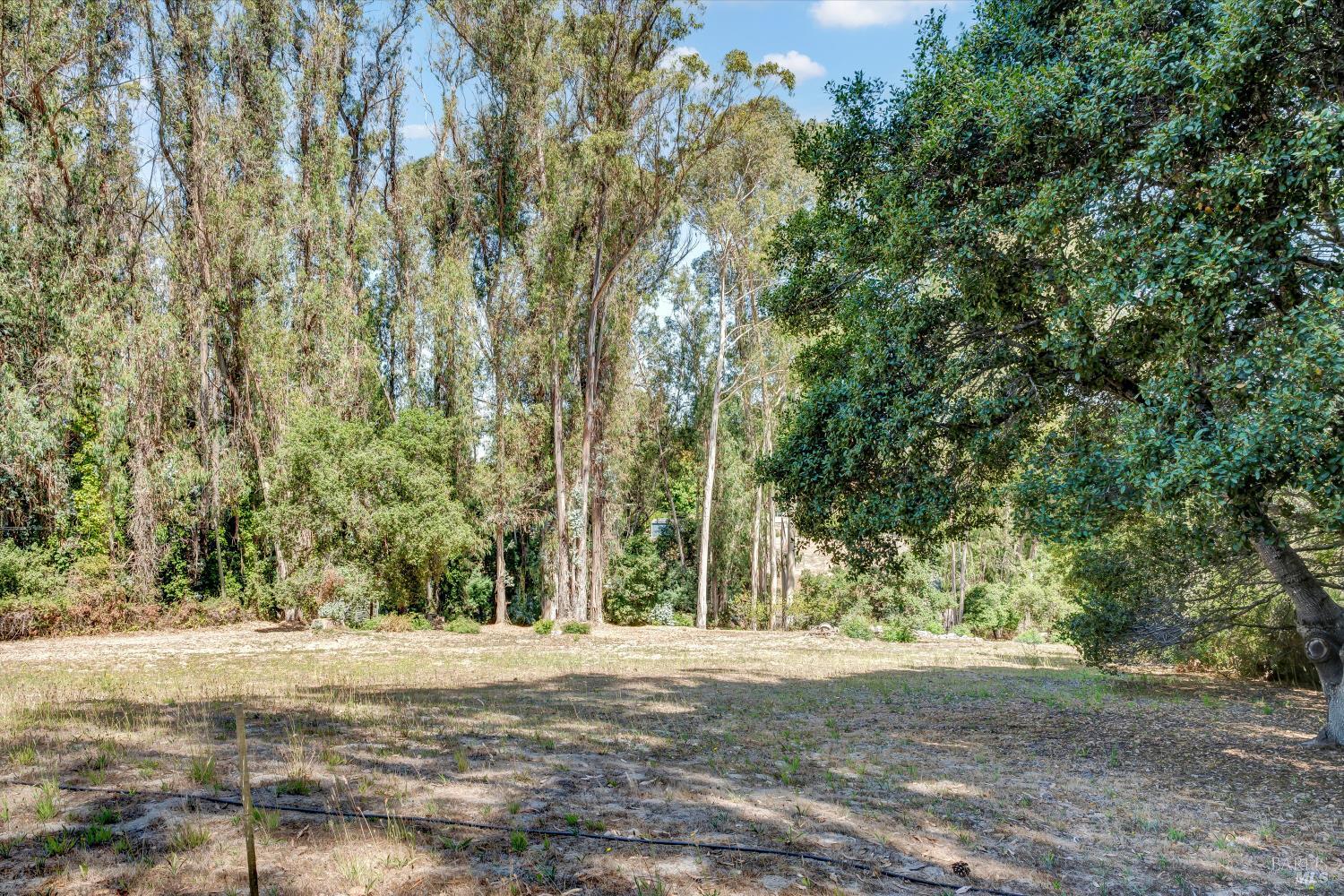 Detail Gallery Image 40 of 53 For 7739 Lynch Rd, Sebastopol,  CA 95472 - 2 Beds | 2 Baths