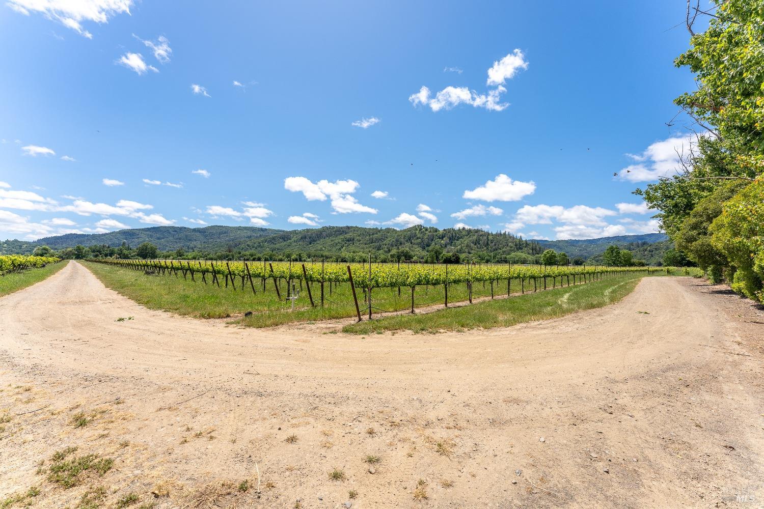 Detail Gallery Image 4 of 14 For 3525 Taylor Dr, Ukiah,  CA 95482 - – Beds | – Baths