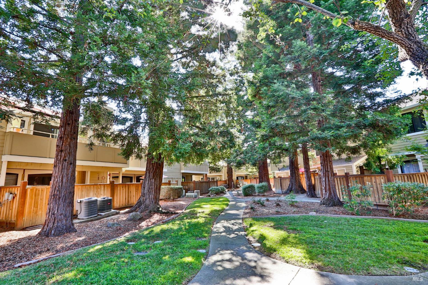 Detail Gallery Image 20 of 28 For 677 Center Ave, Martinez,  CA 94553 - 2 Beds | 1 Baths