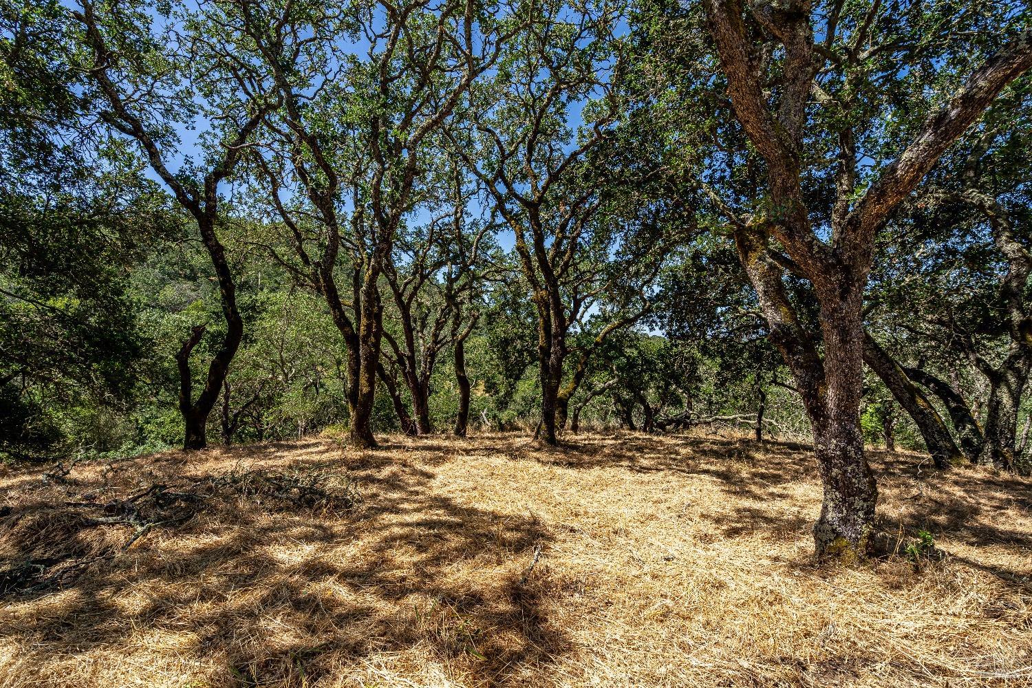 Detail Gallery Image 11 of 15 For 345 Ashlar Dr, Napa,  CA 94558 - 1 Beds | 1 Baths