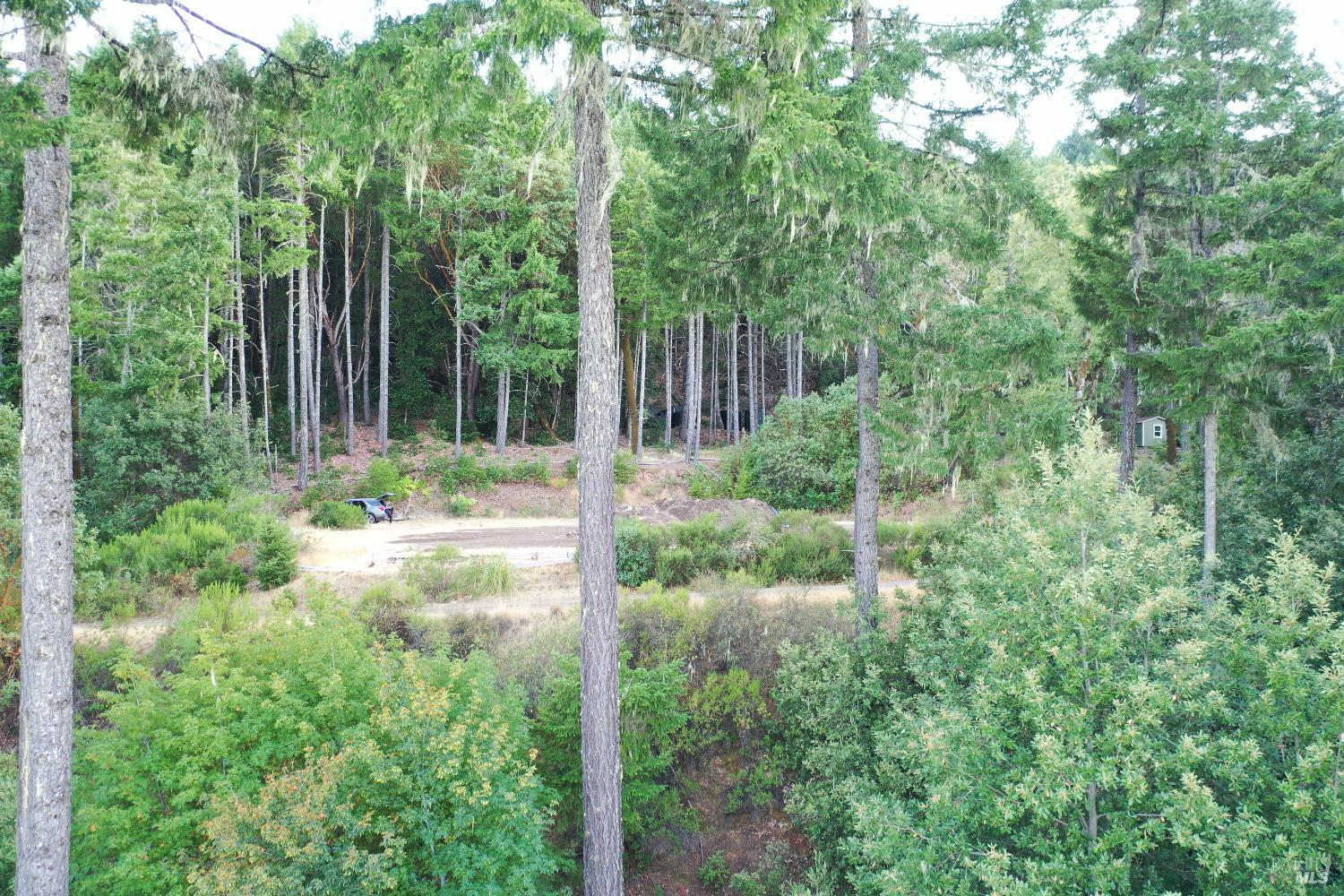 Detail Gallery Image 18 of 28 For 18500 Shafer Ranch Rd, Willits,  CA 95490 - 2 Beds | 1 Baths