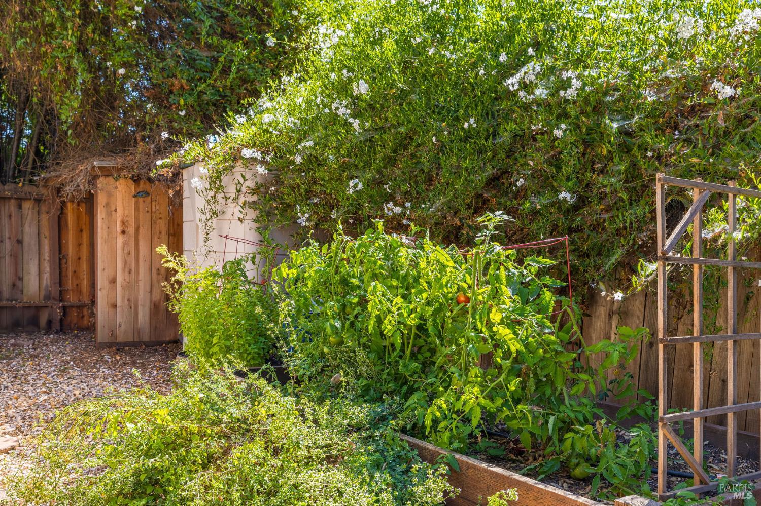 Detail Gallery Image 42 of 56 For 2890 Redwood Rd, Napa,  CA 94558 - 2 Beds | 2 Baths