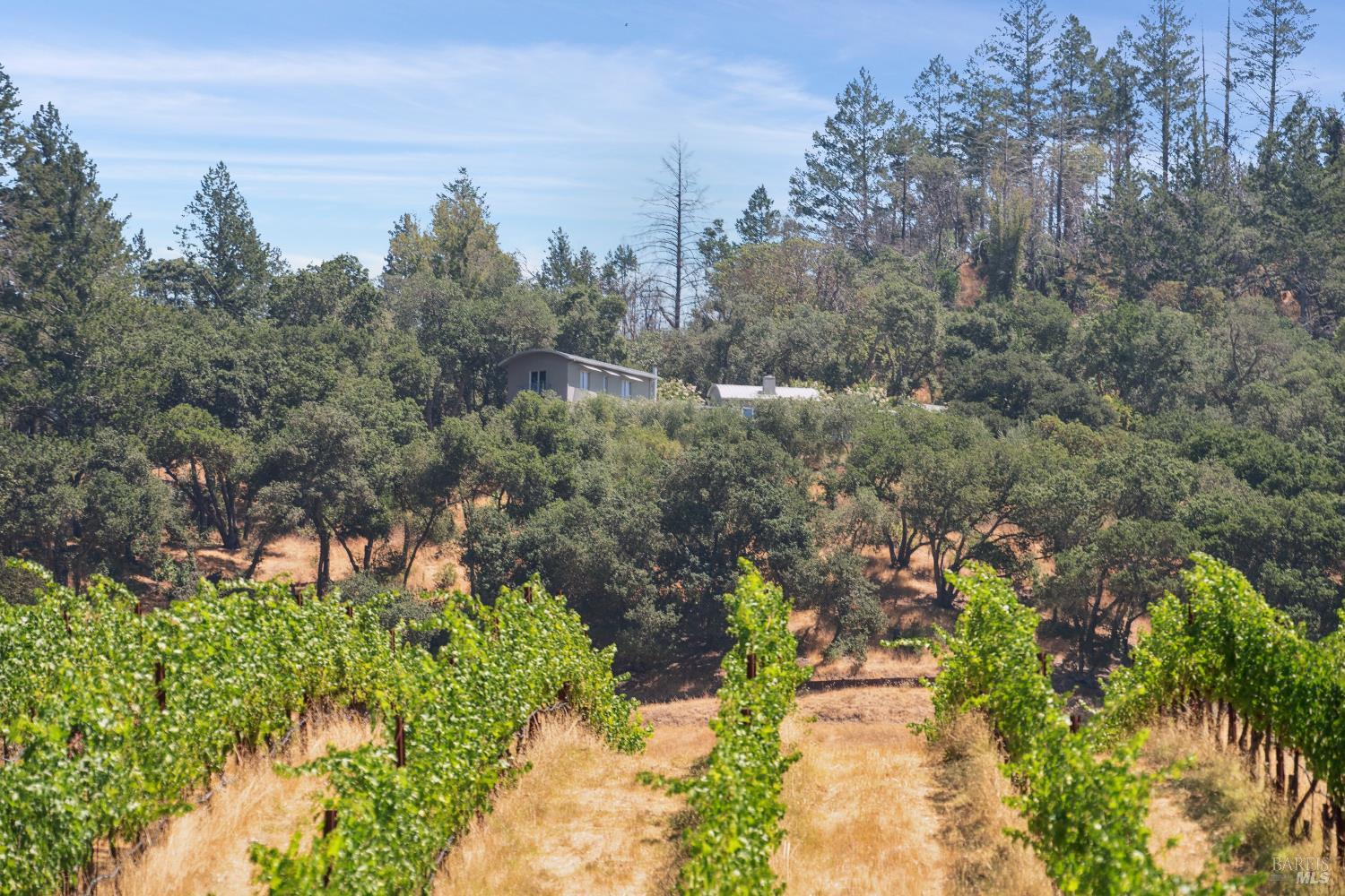 Detail Gallery Image 83 of 83 For 13418 Chalk Hill Rd, Healdsburg,  CA 95448 - 3 Beds | 4/1 Baths