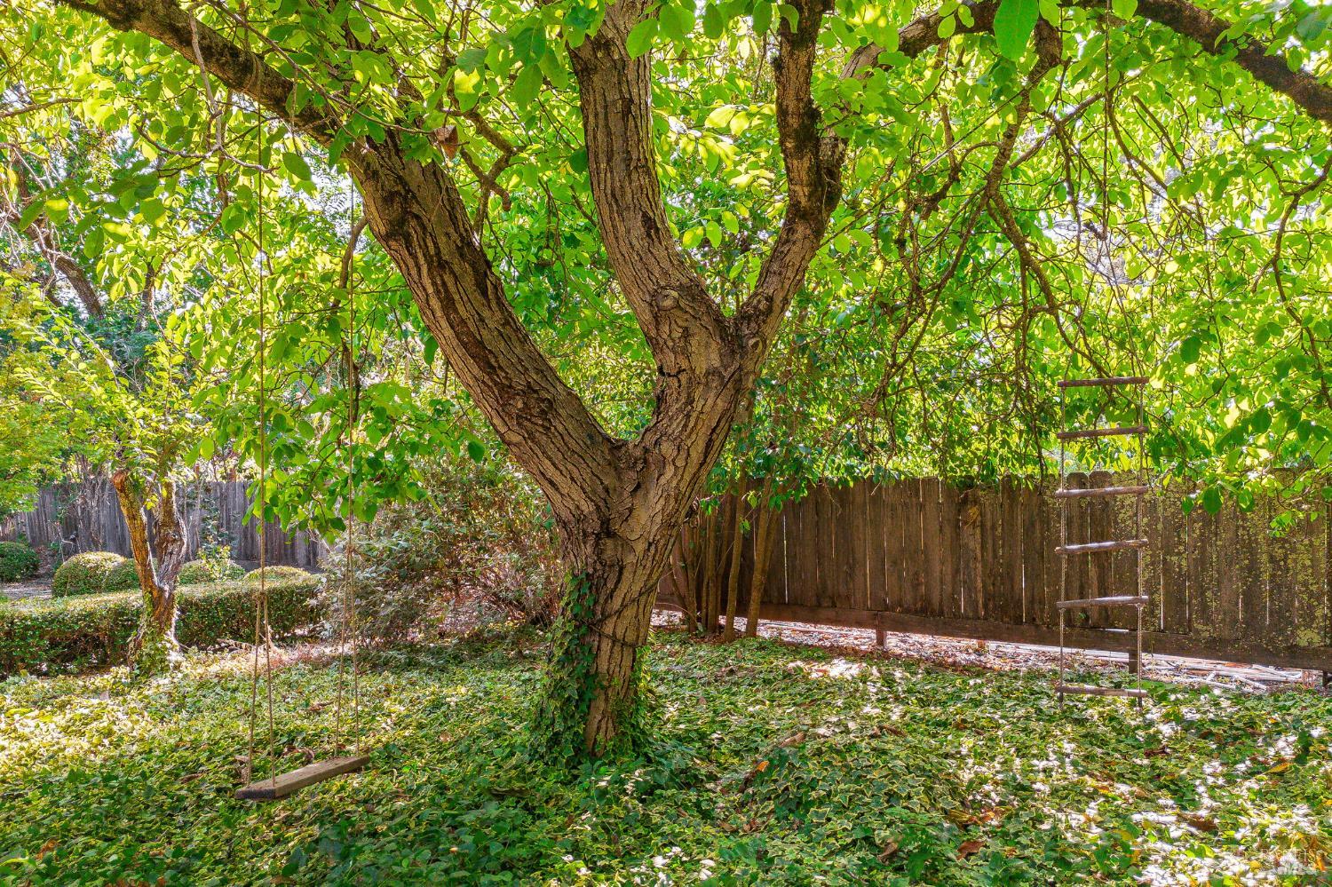 Detail Gallery Image 36 of 56 For 2890 Redwood Rd, Napa,  CA 94558 - 2 Beds | 2 Baths
