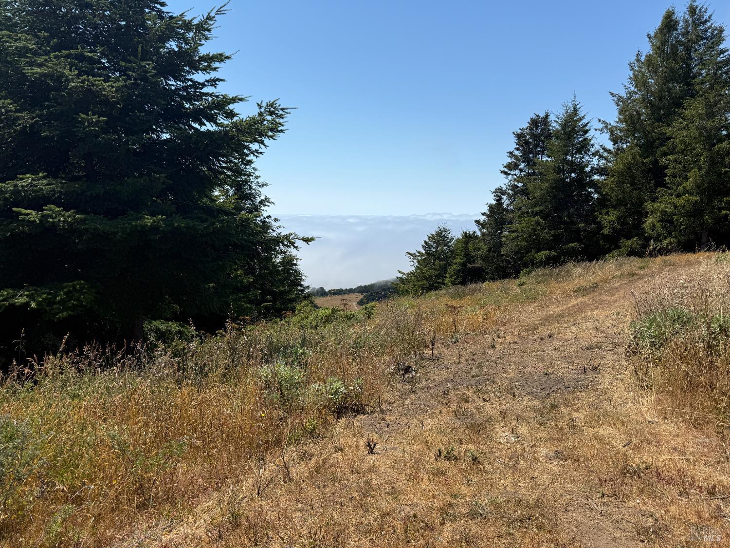 Detail Gallery Image 1 of 1 For 8821 S Highway 1 Unkn, Elk,  CA 95432 - 1 Beds | 1 Baths