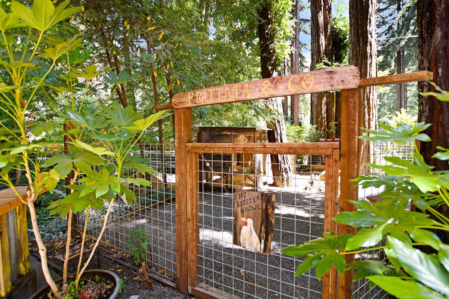 Detail Gallery Image 6 of 38 For 15607 Old Cazadero Rd, Guerneville,  CA 95446 - 1 Beds | 2 Baths