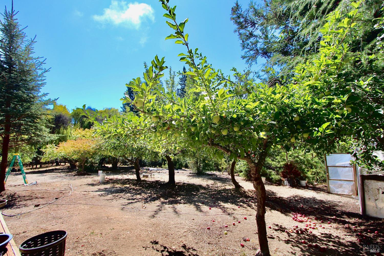 Detail Gallery Image 39 of 62 For 3700 Deer Meadow Ln, Occidental,  CA 95465 - 2 Beds | 2/1 Baths