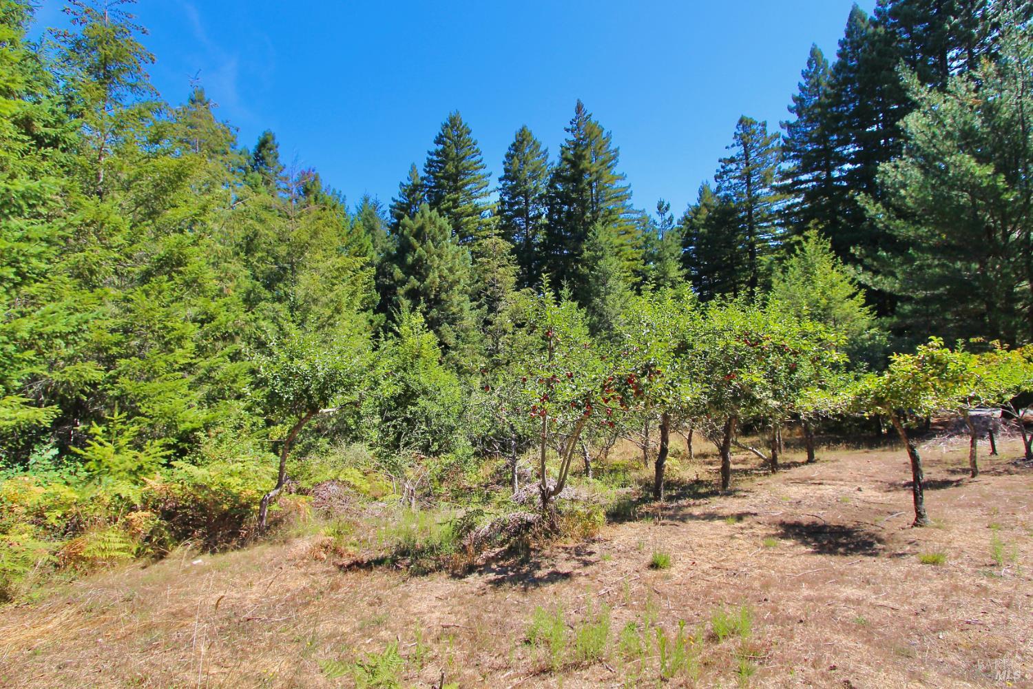 Detail Gallery Image 55 of 62 For 3700 Deer Meadow Ln, Occidental,  CA 95465 - 2 Beds | 2/1 Baths
