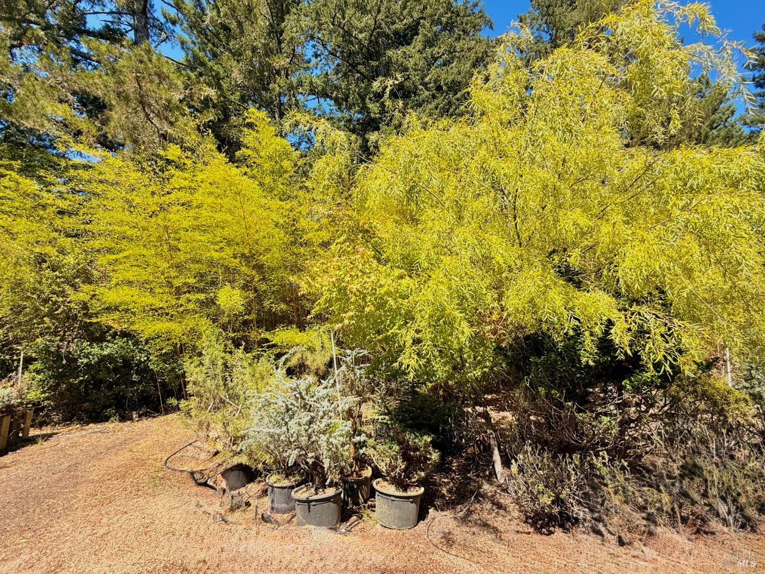 Detail Gallery Image 41 of 62 For 3700 Deer Meadow Ln, Occidental,  CA 95465 - 2 Beds | 2/1 Baths