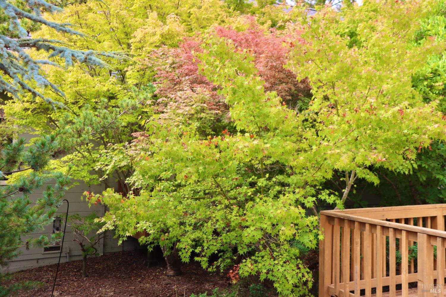 Detail Gallery Image 13 of 62 For 3700 Deer Meadow Ln, Occidental,  CA 95465 - 2 Beds | 2/1 Baths