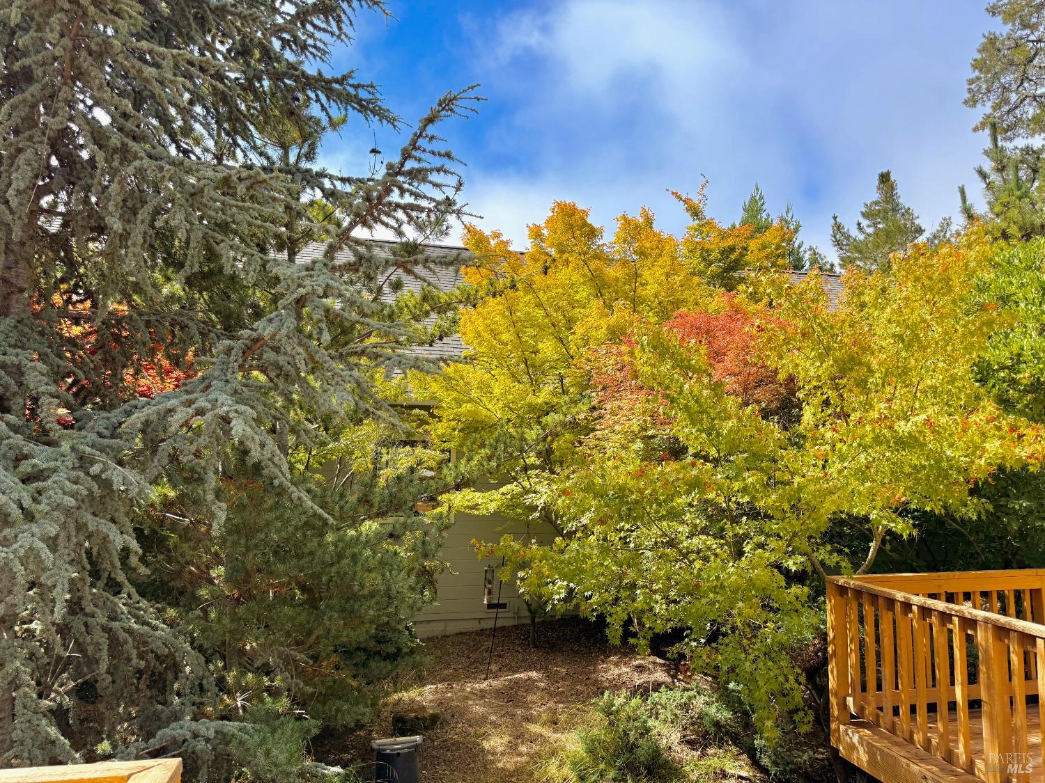 Detail Gallery Image 10 of 62 For 3700 Deer Meadow Ln, Occidental,  CA 95465 - 2 Beds | 2/1 Baths