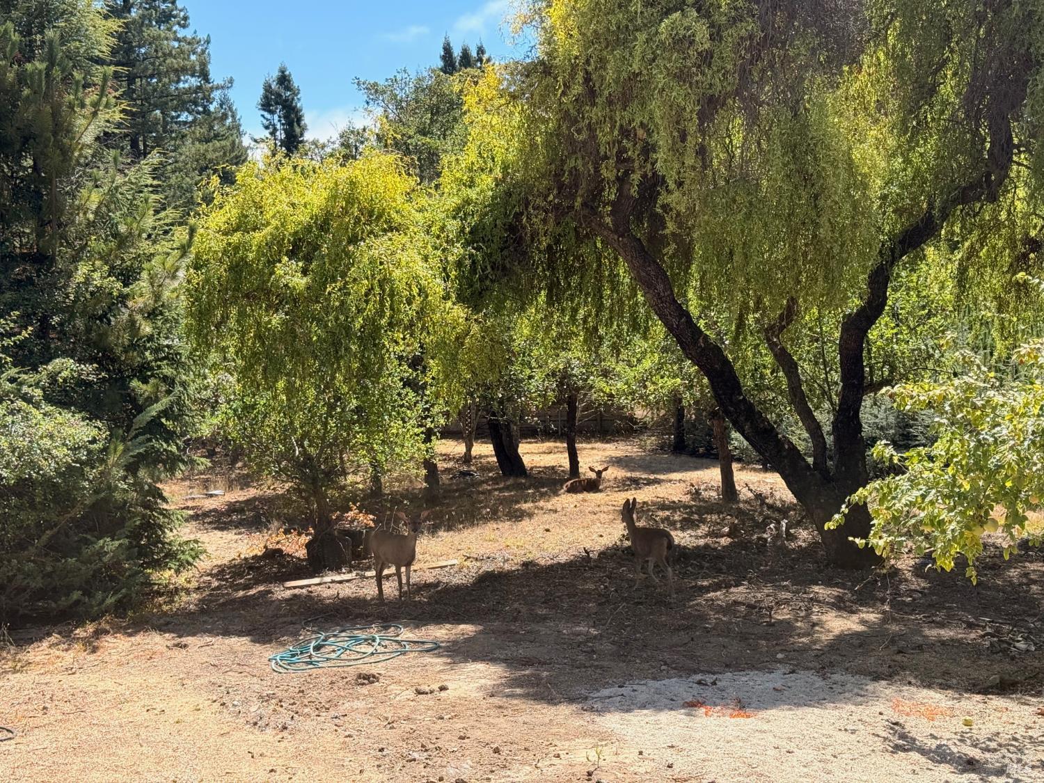 Detail Gallery Image 60 of 62 For 3700 Deer Meadow Ln, Occidental,  CA 95465 - 2 Beds | 2/1 Baths
