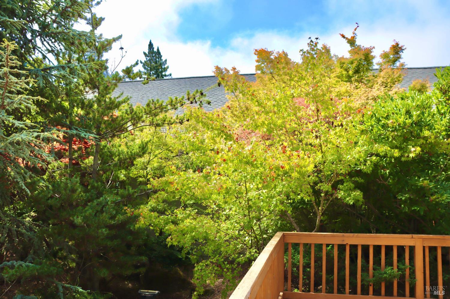 Detail Gallery Image 11 of 62 For 3700 Deer Meadow Ln, Occidental,  CA 95465 - 2 Beds | 2/1 Baths