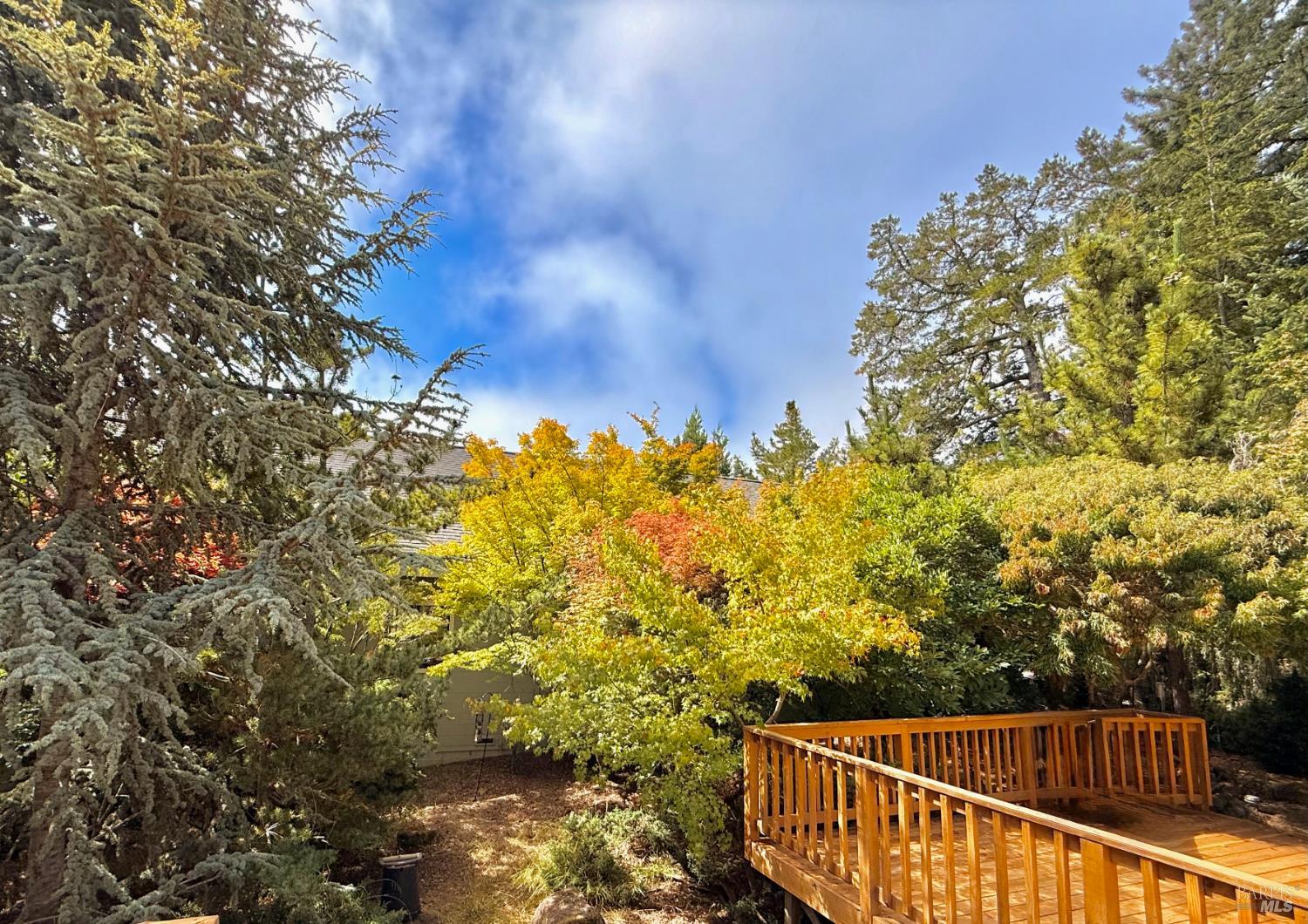 Detail Gallery Image 9 of 62 For 3700 Deer Meadow Ln, Occidental,  CA 95465 - 2 Beds | 2/1 Baths