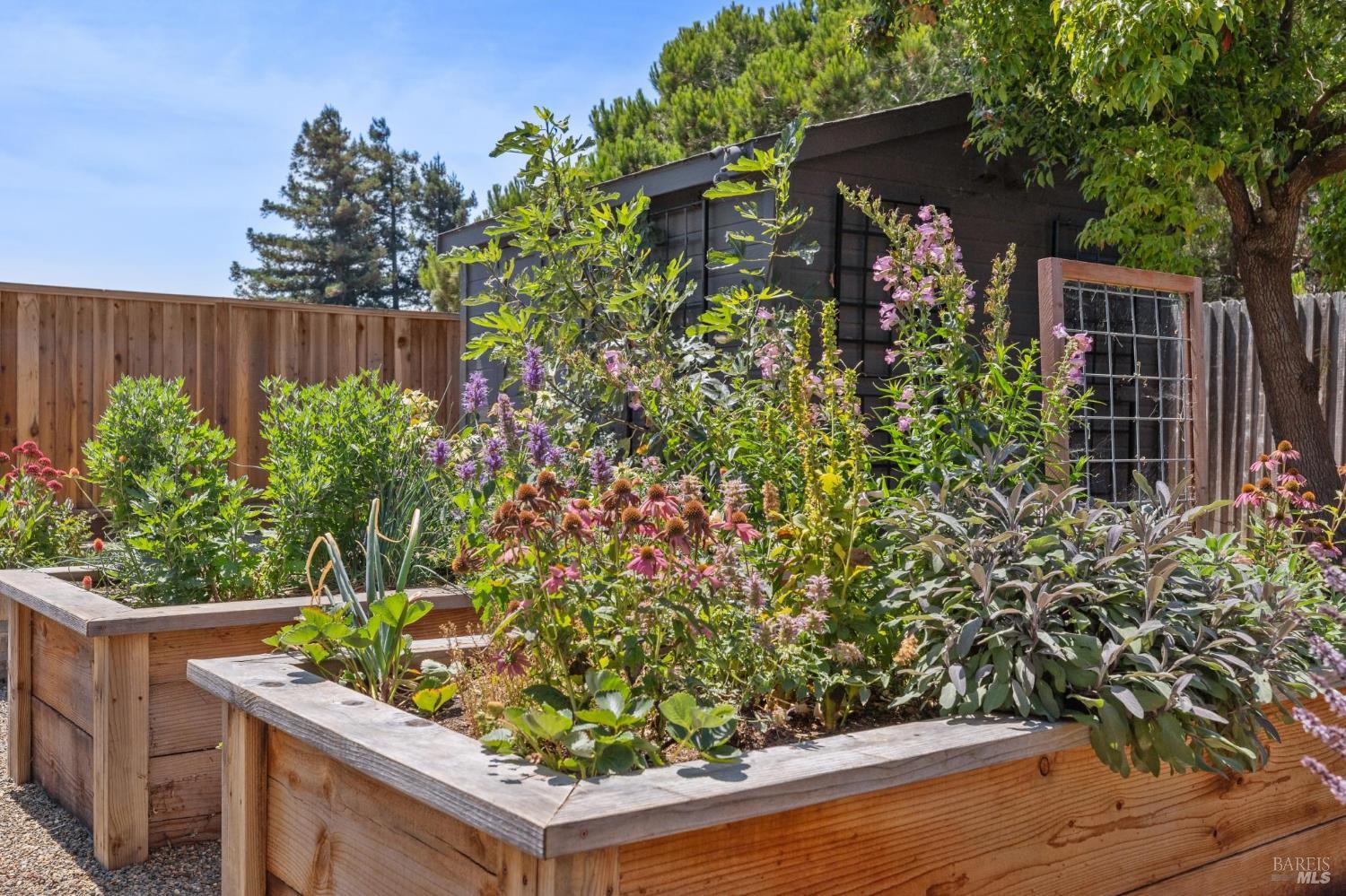 Detail Gallery Image 82 of 82 For 772 Barton Way, Benicia,  CA 94510 - 3 Beds | 2 Baths
