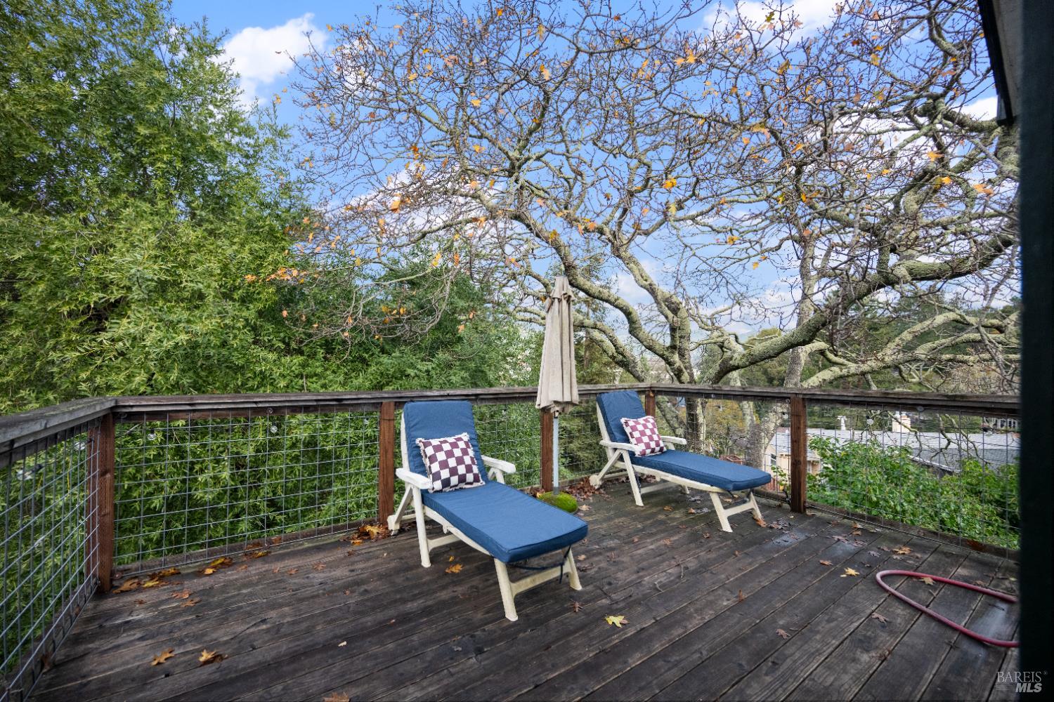 Detail Gallery Image 17 of 24 For 142 Bungalow Ave, San Rafael,  CA 94901 - – Beds | – Baths