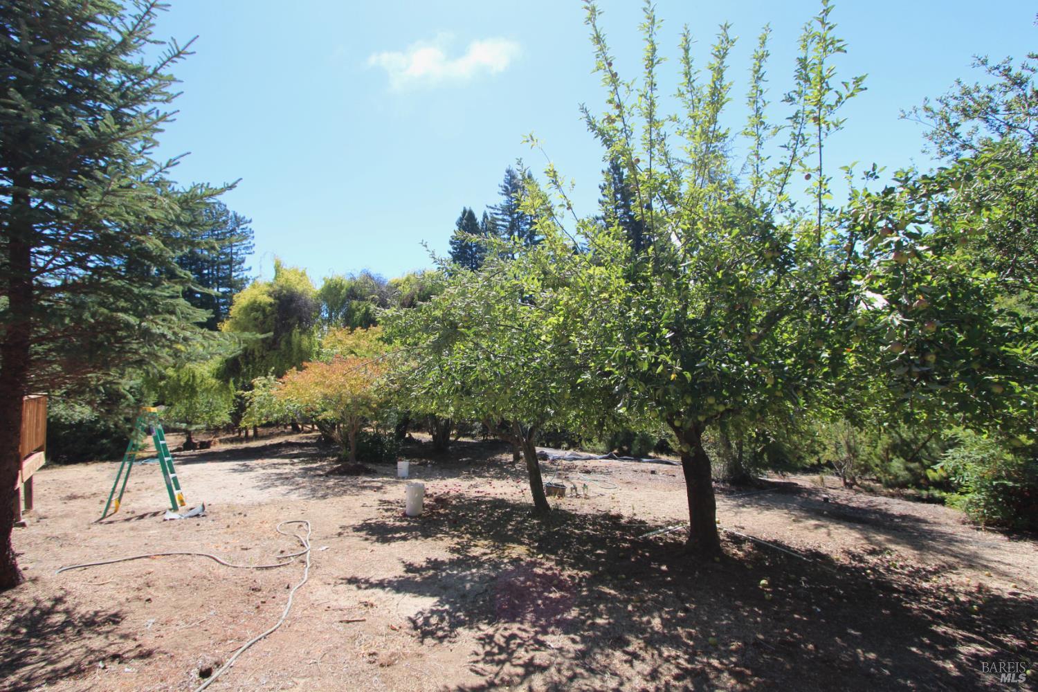 Detail Gallery Image 54 of 62 For 3700 Deer Meadow Ln, Occidental,  CA 95465 - 2 Beds | 2/1 Baths