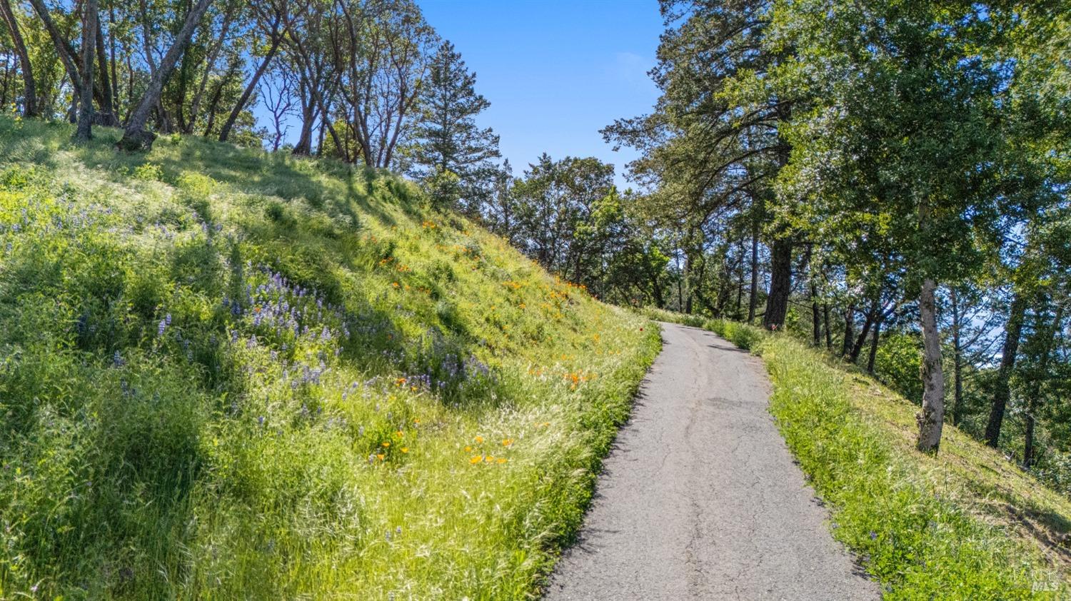 Detail Gallery Image 50 of 58 For 22855 Chianti Rd, Geyserville,  CA 95441 - 5 Beds | 3/1 Baths