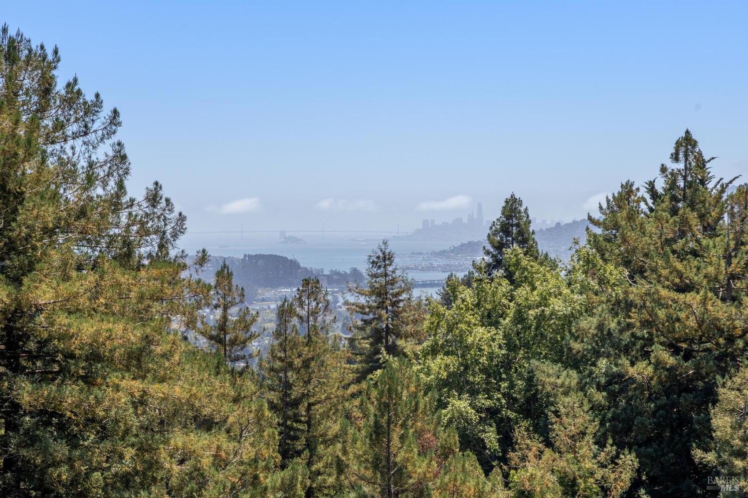 Detail Gallery Image 38 of 60 For 222 Marguerite Ave, Mill Valley,  CA 94941 - 4 Beds | 5 Baths
