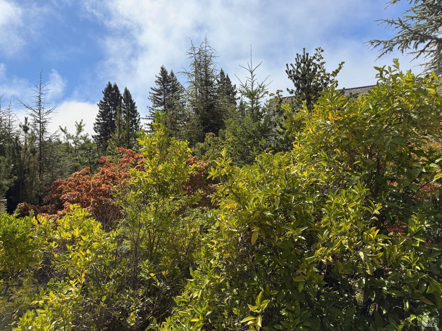 Detail Gallery Image 14 of 62 For 3700 Deer Meadow Ln, Occidental,  CA 95465 - 2 Beds | 2/1 Baths