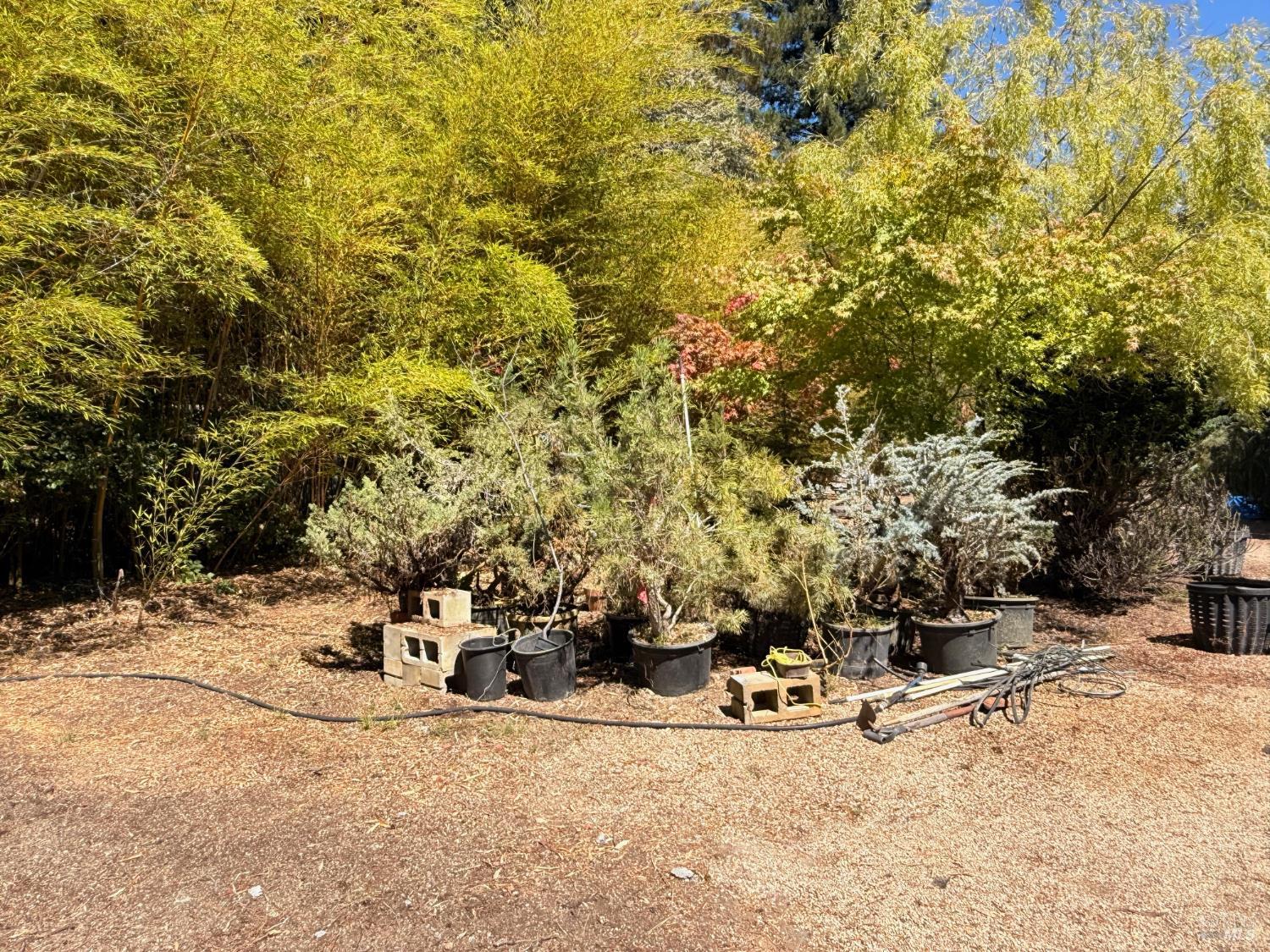 Detail Gallery Image 56 of 62 For 3700 Deer Meadow Ln, Occidental,  CA 95465 - 2 Beds | 2/1 Baths