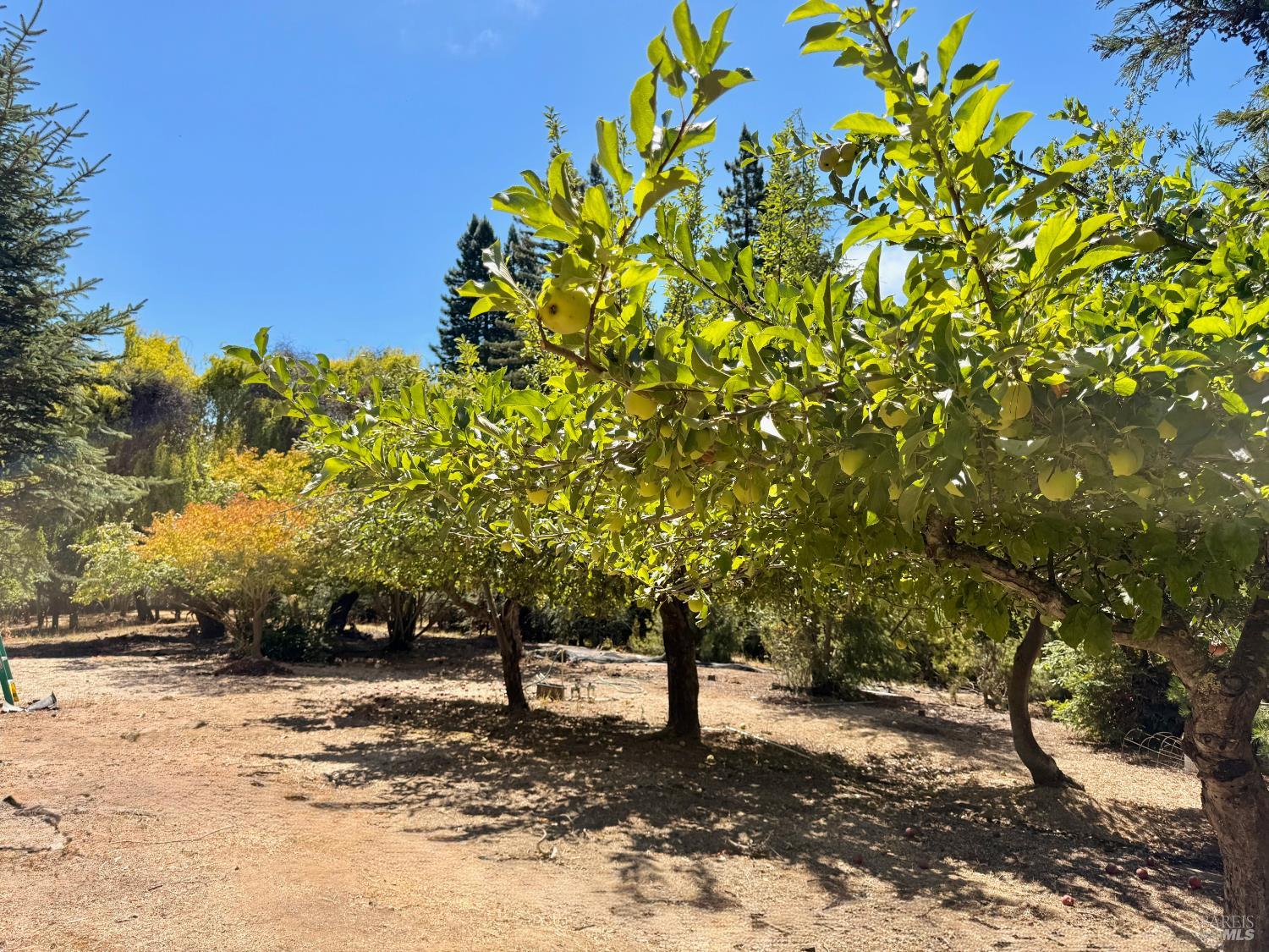 Detail Gallery Image 57 of 62 For 3700 Deer Meadow Ln, Occidental,  CA 95465 - 2 Beds | 2/1 Baths