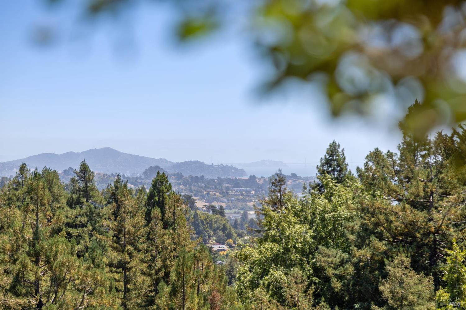 Detail Gallery Image 37 of 60 For 222 Marguerite Ave, Mill Valley,  CA 94941 - 4 Beds | 5 Baths